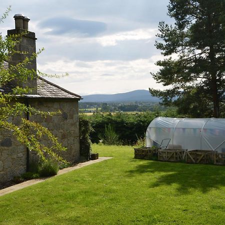 Amazing Cottage With Private Indoor Swim Pool And Hot Tub Grantown-on-Spey Luaran gambar