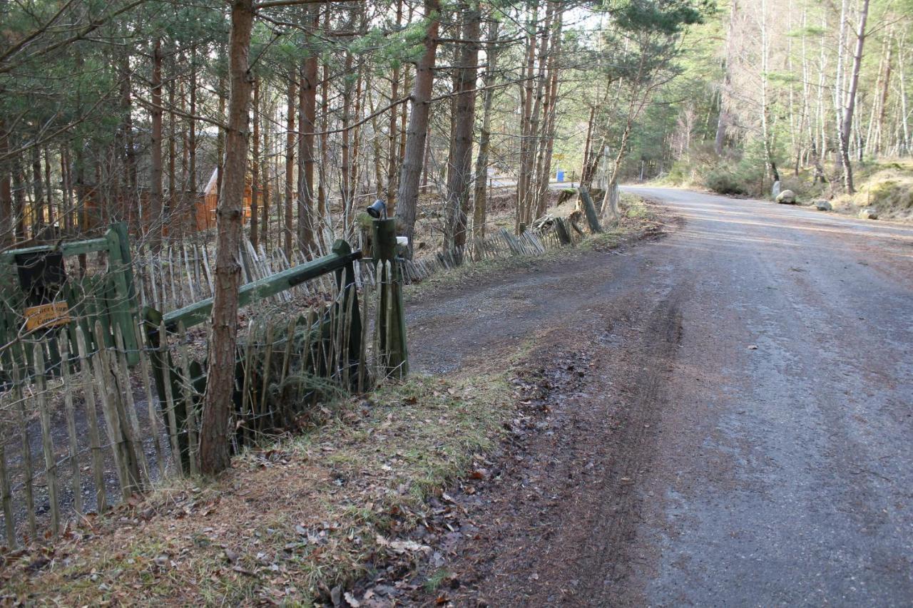 Amazing Cottage With Private Indoor Swim Pool And Hot Tub Grantown-on-Spey Luaran gambar